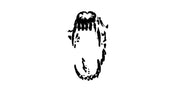 BAWSE® logo
